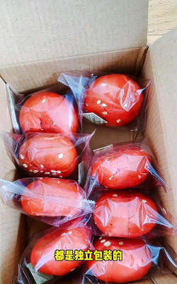 《创世灰烬》召唤师职业技能介绍