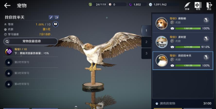 黑色沙漠手游宠物鹰怎么获得