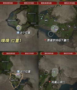 黑色沙漠手游动物引领的地方在哪