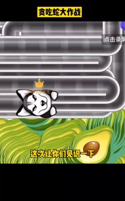 贪吃蛇大作战是人机还是真人