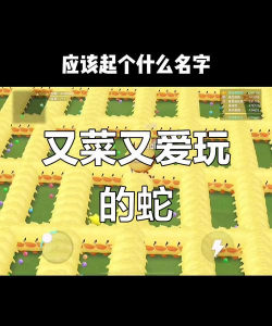 贪吃蛇大作战怎么改名字