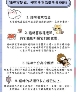 猫咪冷知识大揭秘