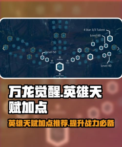 万龙觉醒英雄天赋加点推荐​