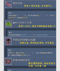 《雨中冒险2》冰火手环成就解锁指南