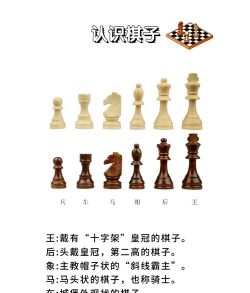 优质的游戏国际象棋下载介绍2026
