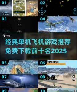 单机飞机游戏打虫有哪些