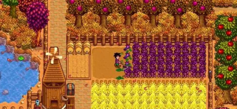 星露谷物语加速器哪个好