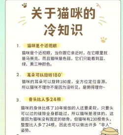 猫咪冷知识大揭秘 猫咪冷知识大揭秘