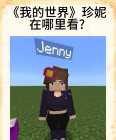 我的世界人物怎么变小 我的世界人物怎么变小