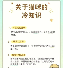 猫咪冷知识大揭秘 猫咪冷知识大揭秘