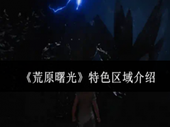 荒原曙光特色区域是哪个