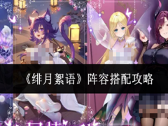 绯月絮语阵容怎么搭配